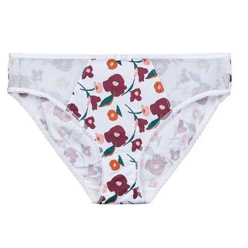 Sous-vêtements Femme Culottes & slips DIM GENEROUS COTON BIO Blanc 1 Sous-vêtements Femme Culottes & slips DIM GENEROUS COTON BIO Blanc