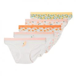 Sous-vêtements Femme Culottes & slips DIM POCKET X5 Multicolore