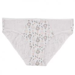 Sous-vêtements Femme Culottes & slips DIM GENEROUS COTON BIO Multicolore