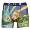 Sous-vêtements Homme Boxers Pullin FASHION LYCRA Multicolore