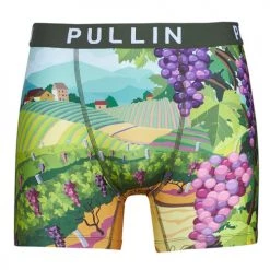 Sous-vêtements Homme Boxers Pullin FASHION LYCRA Multicolore